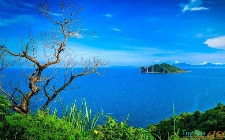 Hòn Nưa Phú Yên– thiên đường biển đảo đang ngủ quên 30/11/2023 Đảo Hòn Nưa Phú Yên ở đâu?