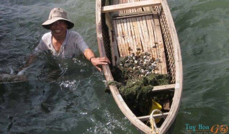 Vịnh Xuân Đài - tuyệt tác du lịch Phú Yên 04/10/2023 Ngư dân nơi đây hay nuôi trồng các loại thủy hải sản như cá, tôm hùm, hay những loài hải sản quý hiếm như cá ngựa, sò đá