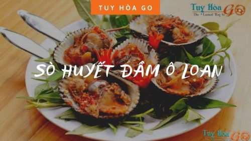 SÒ HUYẾT ĐẦM Ô LOAN