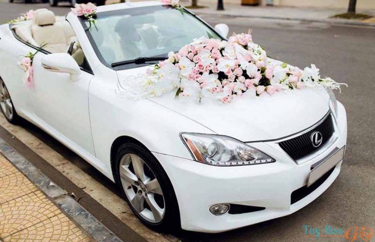 1-thue-xe-ruoc-dau-phu-yen Dịch vụ cho thuê ô tô rước dâu Phú Yên cam kết đúng giờ