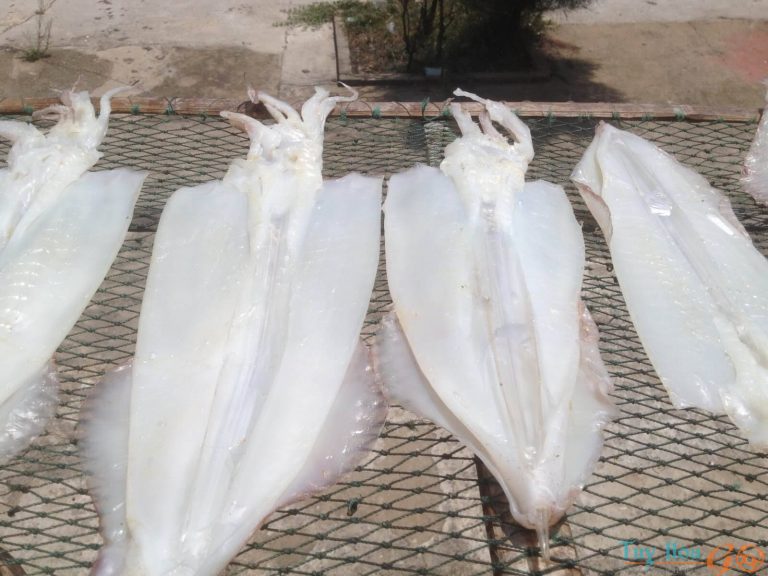 hải sản khô Phú Yên được chế biến từ hải sản tươi ngon