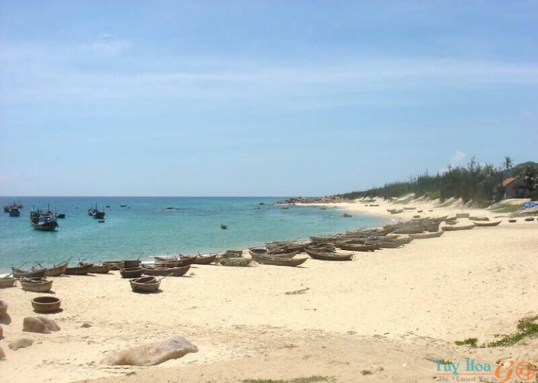 Bãi Bàng Phú Yên: Điểm đến “đi trốn” đẹp rung rinh