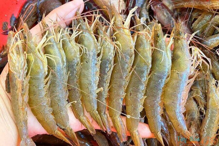 Cách làm chả ram tôm đất giòn rụm đãi khách