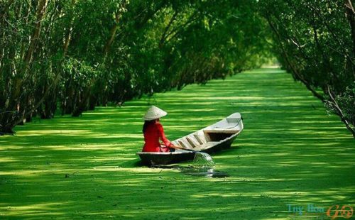 Du lịch - ẩm thực - thuê xe Phú Yên
