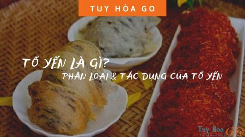 TỔ YẾN LÀ GÌ- PHÂN LOẠI & TÁC DỤNG CỦA TỔ YẾN