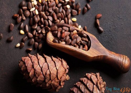 Hạt thông và những lợi ích tuyệt vời cho sức khỏe