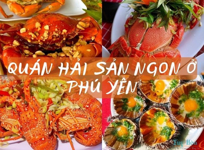 Du lịch - ẩm thực - thuê xe Phú Yên